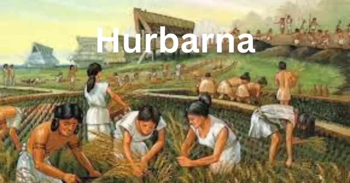 Hurbarna