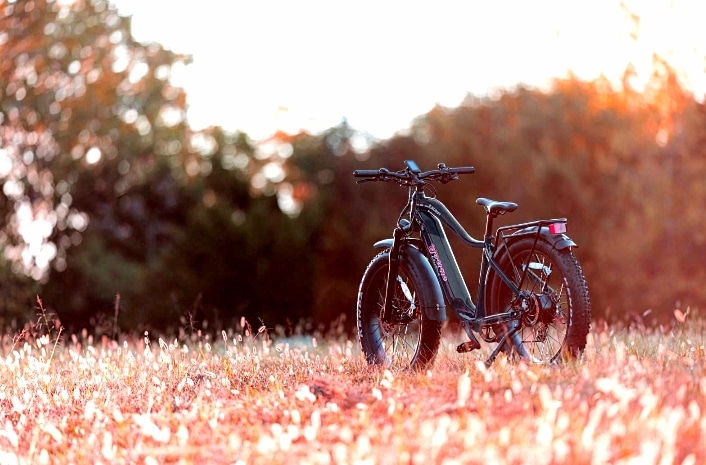 long range ebikes