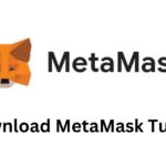 Download MetaMask Tumbl