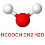 HCOOCH CH2 H2O